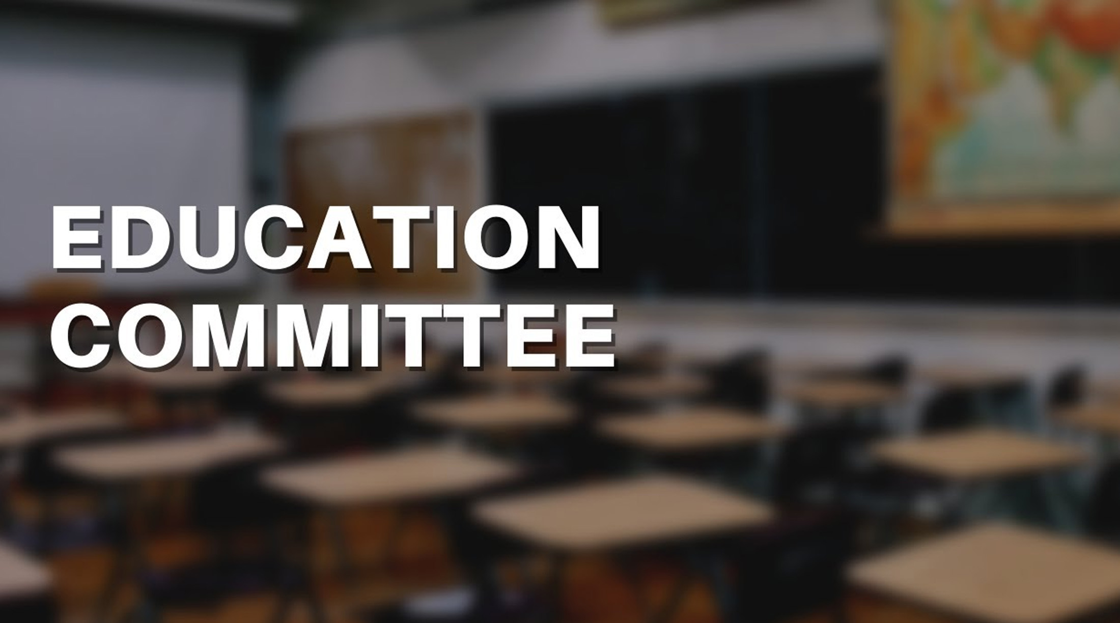 Holy angels education committee 